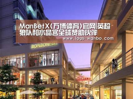 案例展示一(图1)