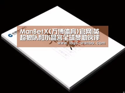 项目名称七